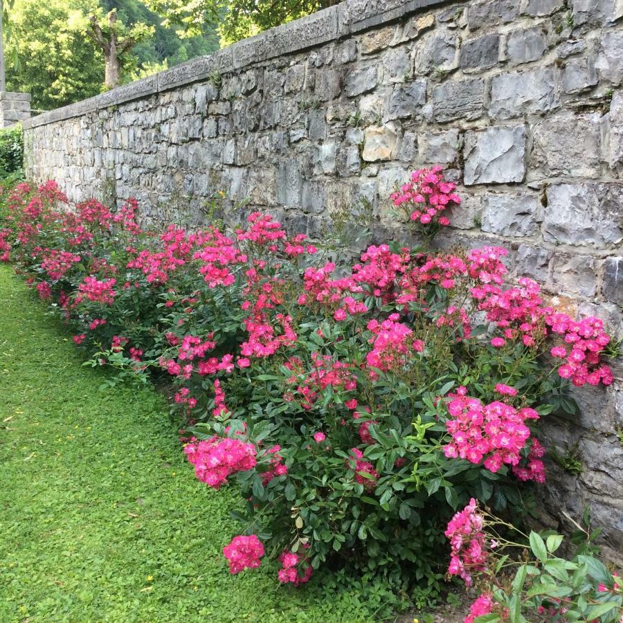 La Villa Des Roses 더뷔 외부 사진